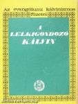 A lelkigondozó Kálvin
