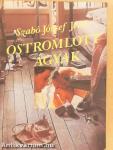 Ostromlott ágyak