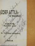 József Attila az iskolában (dedikált példány)