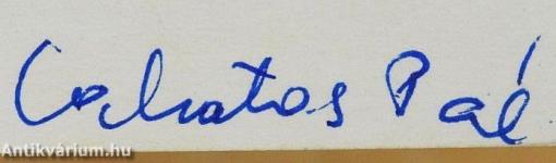 "Bűnünk" és bajunk Trianon (dedikált példány)