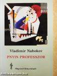 Pnyin professzor
