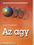 Az agy