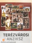 Terézvárosi anziksz