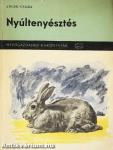 Nyúltenyésztés