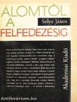 Álomtól a felfedezésig