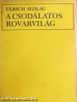 A csodálatos rovarvilág