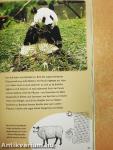Der Grosse Panda