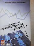 "A magyar bankszektor jövője"