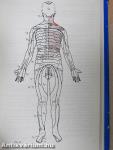 Spezielle Physiotherapie