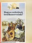 Hogyan működnek érzékszerveink?