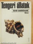 Tengeri állatok 1.