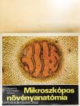 Mikroszkópos növényanatómia