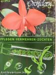 Orchideen