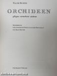 Orchideen