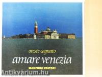 Amare Venezia