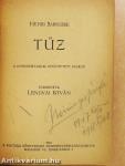 Tűz