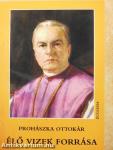Élő vizek forrása