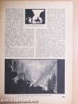 Élet 1940. május 5.