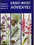 Erdő-mező növényei