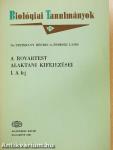 A rovartest alaktani kifejezései I.
