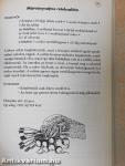 Vegetáriánus ételek