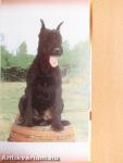 Óriás schnauzer