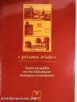 «Prismes irisés»