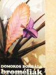 Broméliák
