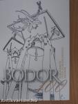 Bodor 100