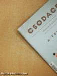 Csodaceruza 80.