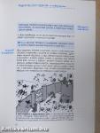 Az immunrendszer erősítése természetes módon