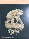 The Great Apes