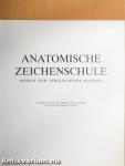 Anatomische Zeitchenschule
