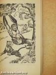 Tarzan dzsungeltörténetei