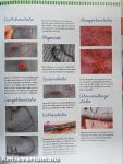 Das große Kinder Handarbeitsbuch
