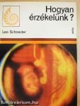 Hogyan érzékelünk?