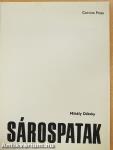 Sárospatak