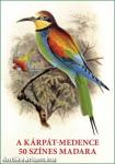 A Kárpát-medence 50 színes madara