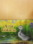 A rút kiskacsa