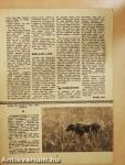 Magyar Vadász 1957. november