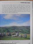 Irish History