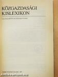 Közgazdasági kislexikon