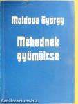 Méhednek gyümölcse