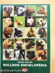 Bulldog enciklopédia