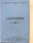 Coléoptéres
