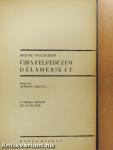 Újra felfedezem Délamerikát