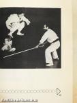 Karate, a legendák sportja