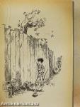 Tom Sawyer kalandjai