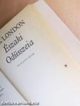 Északi Odüsszeia
