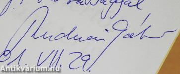 A Kisoldali tértől a Batthyány térig (dedikált példány)